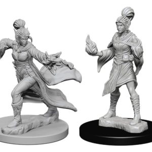 Pathfinder Deep Cuts Miniatures - Elf Female Sorcerer