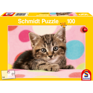 Schmidt: Cute Kitten (100)