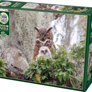 Cobble Hill: Great Horned Owl (1000)
