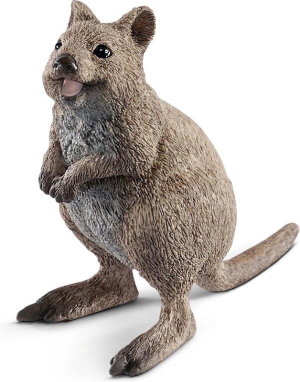 Schleich: Quokka